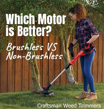 Craftsman V20 Weed Wacker - What I Like & Dislike...